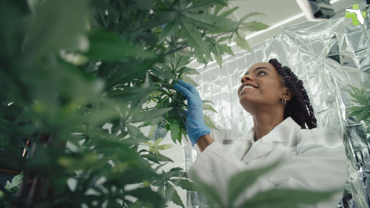 Are You Eligible for a Medical Marijuana Card in Sarasota? Here’s How to Find Out